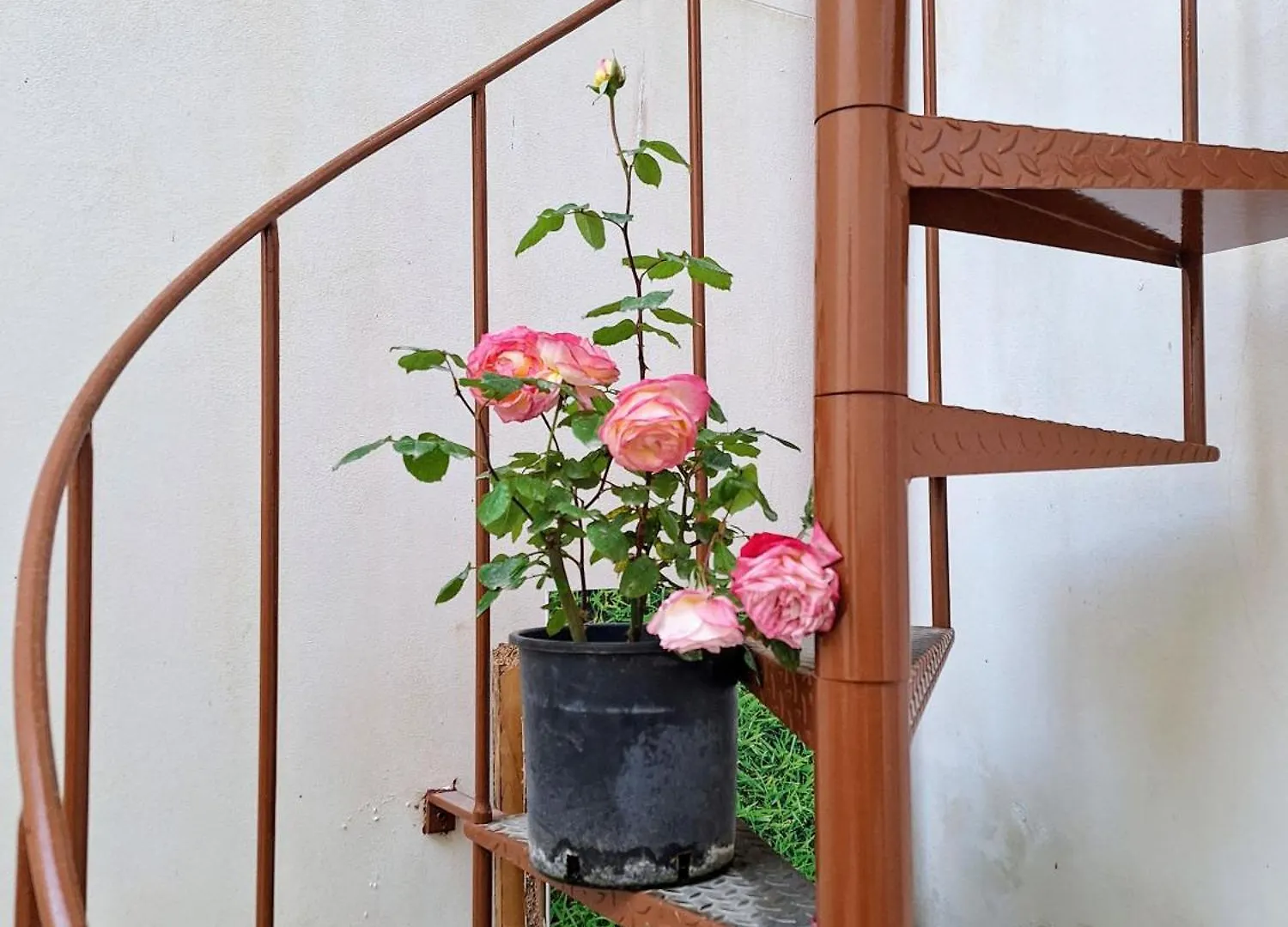 Apartment Living Bouganville Trapani